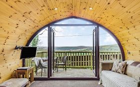The Pod Overlooking Dartmoor